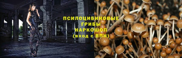 каннабис Абаза