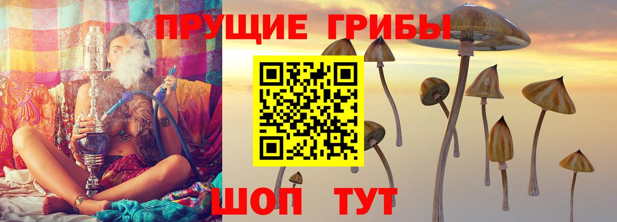 Дальнереченск  Галлюциногенные грибы Psilocybe  Вход с VPN 